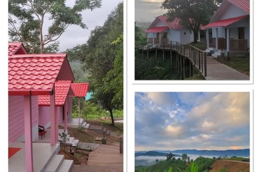 Thanchi corporate tours