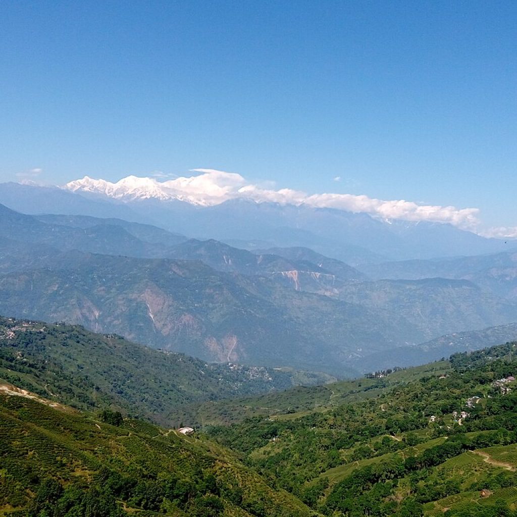 Kanchenjunga range from tea gardens of darjeeling