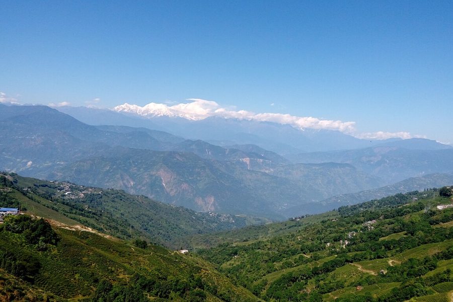 Kanchenjunga range from tea gardens of darjeeling